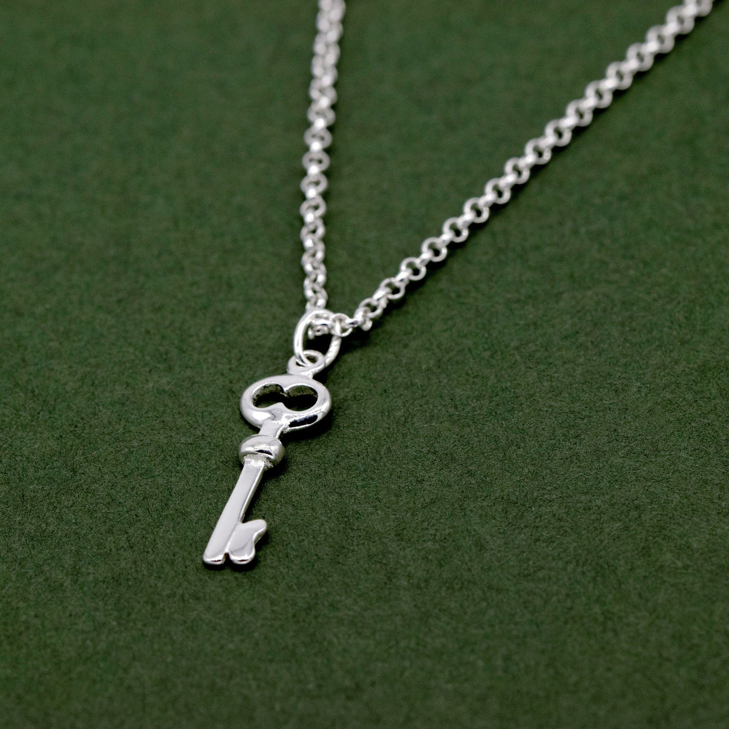 Sterling Silver Key Pendant Necklace on Rolo Chain